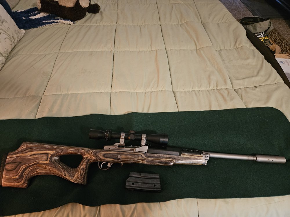 Mini-14 Target 2.jpg